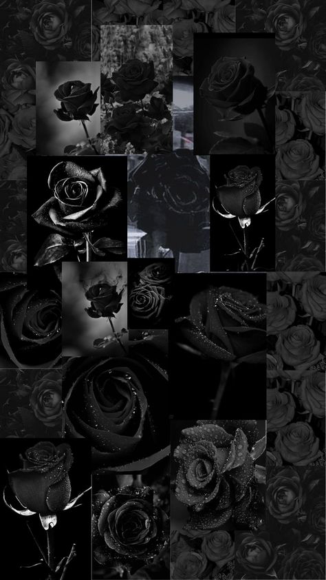 Cool Wallpapers For Samsung, Pretty Phone Backgrounds, Black Roses Wallpaper, Black Rose Flower, Red And Black Wallpaper, Lip Wallpaper, Black Wallpaper Iphone Dark, Pretty Wallpapers Tumblr, Cute Black Wallpaper