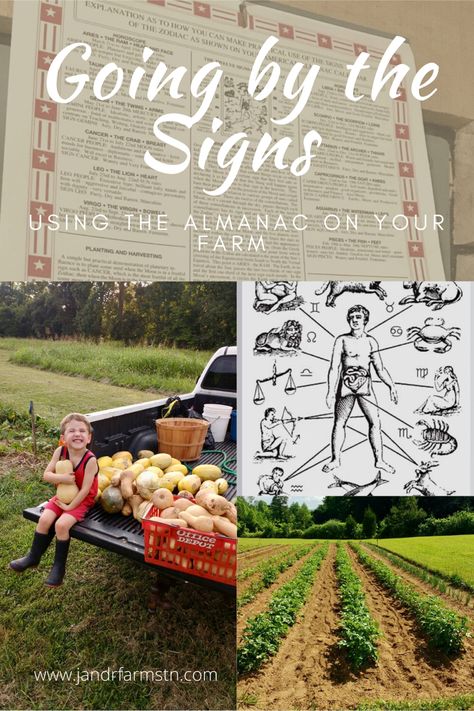 Learn how and why we use the Farmer’s Almanac for nearly everything on our farm. #farmers #almanac #planting #garden #gardeningtips #farming #homesteading Farmers Almanac 2024 Planting Guide, Raisin Pie, Farm Hacks, Planting Garden, Homestead Life, Farmers Almanac, Nature Words, Old Farmers Almanac, Canning Lids