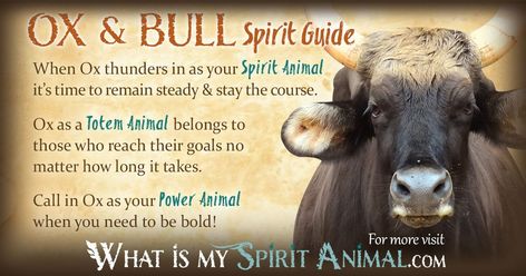 Cow Spirit Animal Meaning, Cow Symbolism, Animals Symbolism, What Is My Spirit Animal, Animal Totem Spirit Guides, Native American Zodiac, Native American Animals, Symbolism Meaning, Spirit Animal Meaning