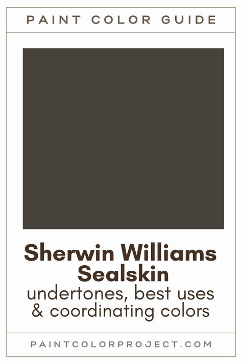 Looking for the perfect deep brown paint color? Let’s talk about Sherwin Williams Sealskin and if it might be perfect for your home! Black With Brown Undertones Paint, Dark Paint Colors Bedroom, Sherwin Williams Backdrop Paint Color, Sherwin Williams Deep Forest Brown, Sherwin Williams Black Brown Paint, Best Brown Black Paint Color, Darkest Brown Paint Color, Seal Skin Paint Color, Sherwin Williams Foothills Paint