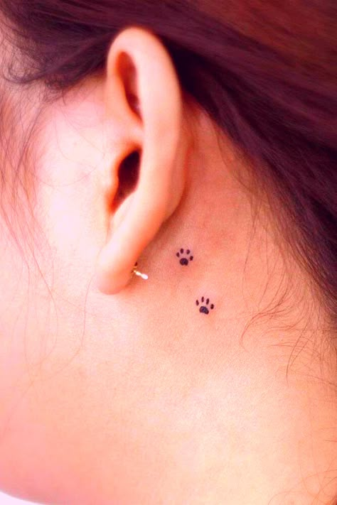 Small Tattoos About My Dog, Tattoo Ideas For Dogs Simple, Small Paw Print Tattoo Behind Ear, Paw Behind Ear Tattoo, Behind Ear Dog Tattoo, Dog Paw Tattoo Behind Ear, 3 Paws Tattoo, Behind Ear Tattoo Paw Print, Small Dog Paw Print Tattoo Ideas