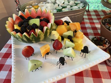 Carved watermelon with ants #miniscule Bug Inspired Food, Birthday Watermelon Carving, June Bug Birthday Theme, Bug Bday Party, Bug Party Snacks, Bug Party Food Ideas, Bug Shaped Food, Ants Go Marching Birthday Party, Bug Themed Party Food