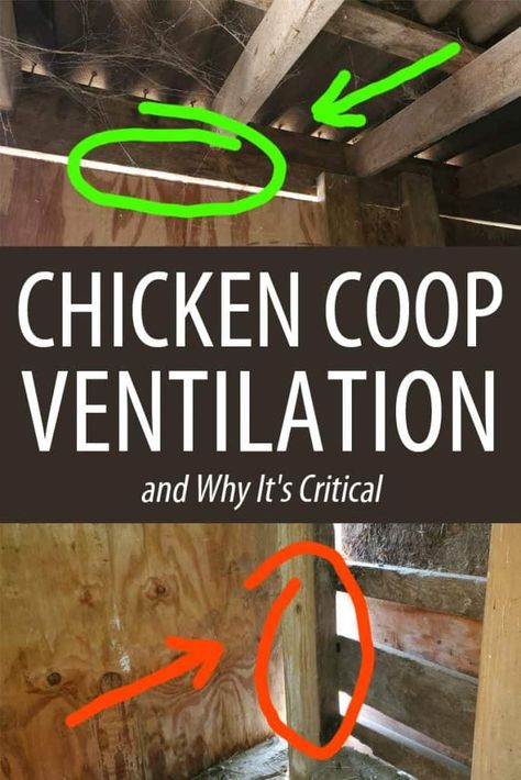 Chicken Coop Ventilation, Coop Ventilation, Chickens Coop, Chicken Perches, Chicken Shed, Backyard Chicken Coop Plans, Chicken Coup, Diy Chicken Coop Plans, Chicken Coop Run