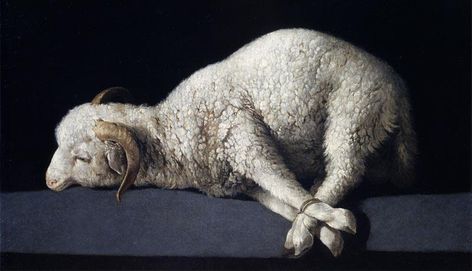 The Passover Lamb Passover Lamb, Lorenzo Bernini, Fra Angelico, Holland America Line, Agnus Dei, Lamb Of God, Francisco Goya, Religious Paintings, A4 Poster