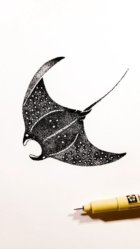 Manta Ray Drawing Sketch, Stingray Sketch, Ocean Tattoos Sleeve, Ocean Tattoos Sleeve For Women, Lightning Bug Tattoo, Manta Ray Drawing, Stingray Tattoos, Manta Ray Art, Manta Ray Tattoo