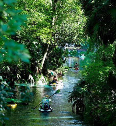 Juniper Springs, Florida - Embrace the Nature — Finding Hot Springs Juniper Springs Florida, Ocala National Forest, Florida Springs, Places In Florida, Springs Florida, Forest Trail, Wildlife Sanctuary, Tropical Getaways, Canoe And Kayak