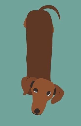 Whimsical Dachshund Art, Dachshund Art Illustration Weenie Dogs, Weenie Dog Painting, Daschund Painting Easy, Dauchsands Drawing, Dachshund Dog Illustration, Wiener Dog Painting, Wiener Dog Illustration, Dachshund Phone Wallpaper