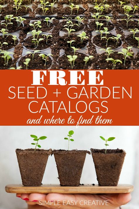 Seed and Gardening Catalogs and where to find them Seed Garden, Gardening Seeds, Frugal Gardening, Free Seeds, Garden Catalogs, Seed Catalogs, Small Space Gardening, Garden Pests, Garden Soil