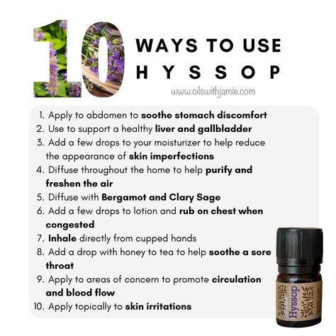 Common Myrtle, Hyssop Essential Oil, Holistic Products, List Of Essential Oils, Healing Essential Oils, Doterra Essential Oils Recipes, Essential Oils Guide, Yl Oils, Birth Doula