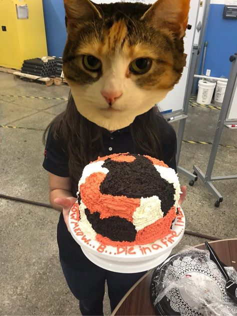 My friend has a calico and is really into cats. Today was also her last day at work. She requested a funfetti cat cake. [Homemade] Last Day At Work, Cake Homemade, Cat Cake, Food Images, Homemade Food, The Hub, My Friend, Homemade Recipes, Last Day