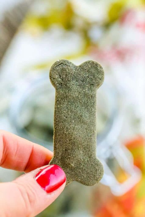 Dog Breath Treats, Baby Treats, Dog Treats Homemade, Dog Treats Homemade Easy, Grain Free Dog Food, Healthy Dog Treats Homemade, Doggie Treats, Dog Breath, Dental Treats