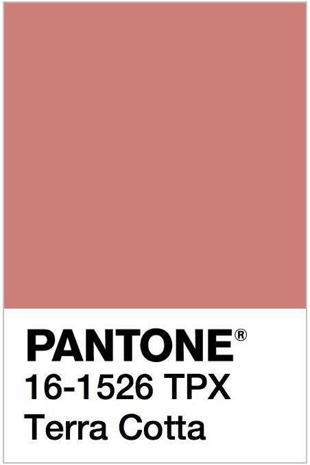 Terra Cotta Color, Pantone Palette, Color Pantone, Pantone Colour Palettes, Terracotta Color, Colour Board, Room Paint, Bedroom Colors, Wall Color