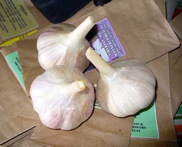 How To Store Fresh Garlic Bulbs, Storing Garlic Bulbs, How To Store Garlic Bulbs, Store Garlic Cloves How To, How To Keep Garlic Fresh How To Store, How To Store Garlic Long Term, Preserving Produce, Storing Garlic, Store Garlic