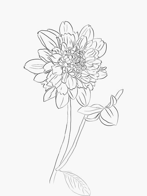 Dahlia Flower Outline, Dahlia Line Art, Black And White Dahlia, White Dahlia Flower, White Dahlia, Paper Play, Flower Silhouette, Flower Outline, Flower Alphabet