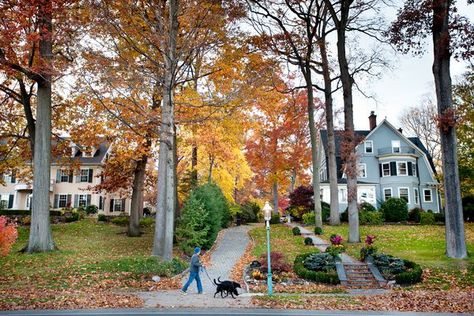 Glen Ridge, N.J.: Neighborly and Close to Midtown - NYTimes.com Moon Over Water, Gas Lamps, Small Town Living, Vintage Homes, Lamps Vintage, Newark New Jersey, Gas Lamp, Midtown Manhattan, Community Pool