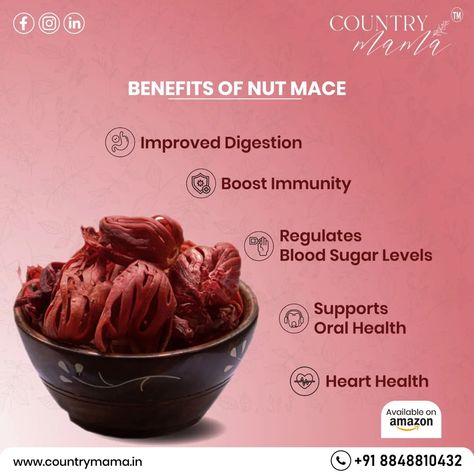 Discover the benefits of Nut Mace! ✨ This wonder spice not only elevates your dishes but also boosts your health. From improved digestion to heart health, Nut Mace has it all. Grab yours now and experience the goodness! • (Benefits of Nutmace, Kerala spices online, Spices online, Buy Spices online, Buy Kerala spices, Nutmace, Javithri, Kerala spices online cart, Country Mama) • Gothic Garden, Health Nut, Regulate Blood Sugar, Improve Digestion, Blood Sugar Levels, Immune Boosting, Heart Health, Oral Health, Blood Sugar