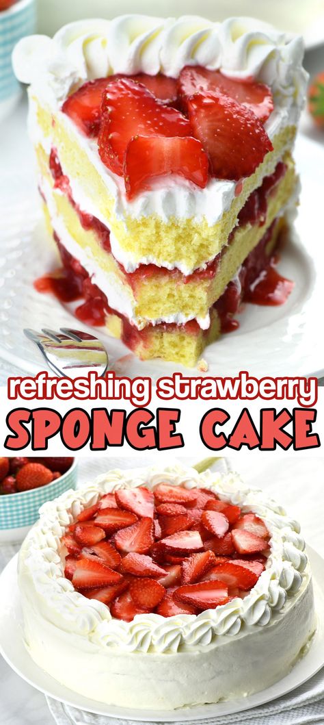 Strawberry Sponge Cake is light and refreshing summertime dessert. Fluffy, moist, spongy cake base, made with just 4 ingredients, strawberry filling and whipped cream cheese frosting are the perfect combination of textures and flavors. #strawberrycake #summerdessert #baking
#spongecake via @https://www.pinterest.com/omgchocodessets/ Sponge Cake Frosting, Strawberry Torte Cake, Sponge Cake Filling Ideas, Strawberry Shortcake Sponge Cake, Strawberry And Cream Sponge Cake, Ultimate Strawberry Cake, Strawberry Wasc Cake, Sponge Cake With Strawberries, Strawberry Seismic Cake