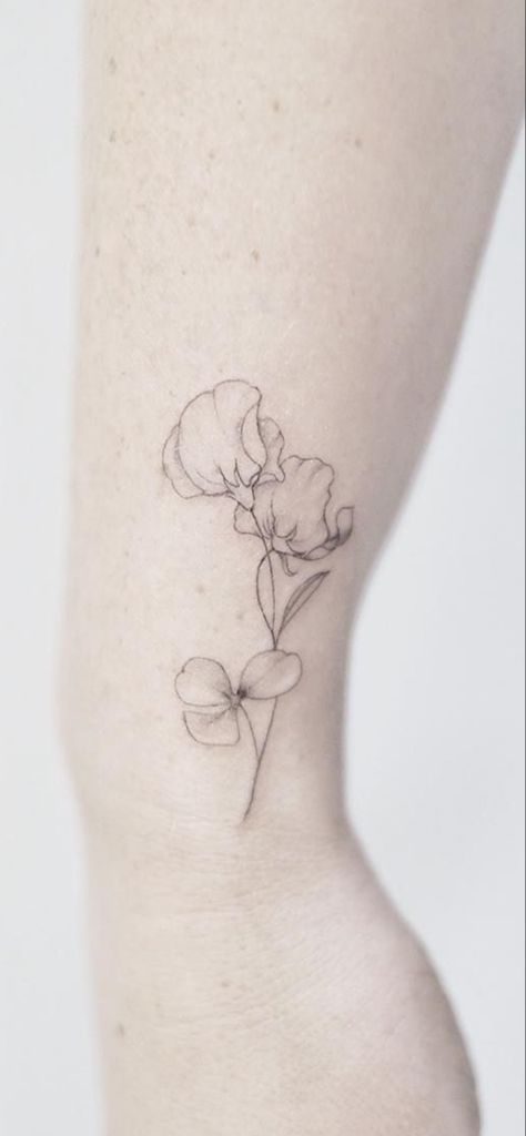 Plant Tattoo With Roots, Sweetpea Tattoo Black And White, Sweet Pea Tattoo Simple, Sweetpea Flower Tattoo, Sweat Pea Tattoo, Pea Tattoo, Sweet Pea Tattoo, Boys Tattoo, Oregon Tattoo