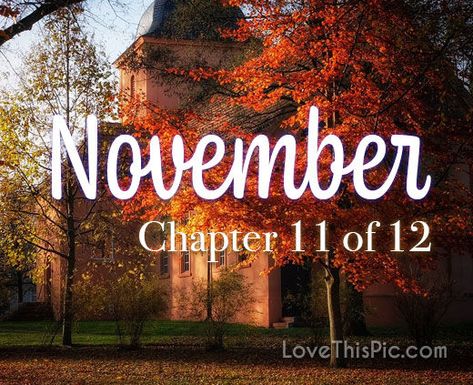 November Chapter 11 Of 12, Chapter 11 Of 12, Holiday Season Quotes, Happy New Month Quotes, New Month Quotes, November Wallpaper, Monthly Quotes, Travel Captions, Hello November