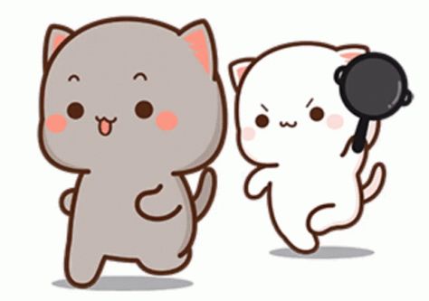 Peachandgoma Peachmad GIF - Peachandgoma Peachmad Couplegoals - Discover & Share GIFs Cute Cartoon Gifs Funny, Mochicat Gif, Cat Cartoon Gif, Mochi Cat Gif, Cute Cartoon Gif, Angry Cat Gif, Cute Mochi Cat, Peachu Gomu, Cats Gif