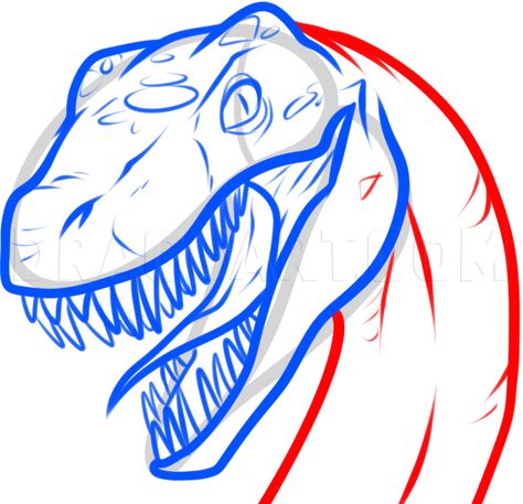 How To Draw A Raptor Head, Step by Step, Drawing Guide, by Dawn - DragoArt Head Step By Step Drawing, Head Step By Step, School Merch, Couple Characters, Star Craft, 1950s Pinup, Dinosaur Head, Cool Dinosaurs, Blue Drawings