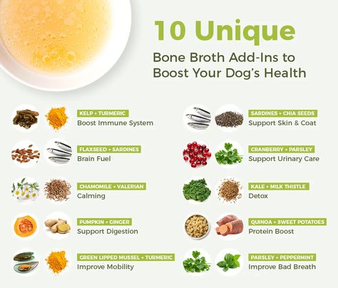 Bone Broth Recipes, Bone Broth For Dogs, Broth For Dogs, Foods Dogs Can Eat, Quinoa Sweet Potato, Homemade Bone Broth, Healthy Dog Treats Homemade, Bone Broth Recipe, Raw Dog Food Recipes