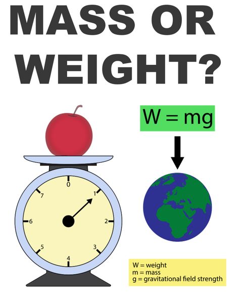 Mass or Weight? What's the Difference? Science Questions for Kids Science Questions For Kids, What Is Mathematics, Questions For Kids, Learn Physics, Science Questions, Physics Notes, Teaching Plan, Matter Science, Science Notes