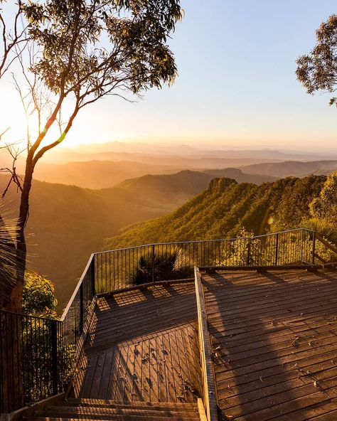 O'Reilly's Rainforest Retreat on Instagram: “Our breathtaking Sunset Experience is back! 🙌🥂🌄 Stay at O'Reilly's Rainforest Retreat these school holidays to receive a complimentary…” Diving Into Ocean, Rainforest Retreat, Vision 2023, Beautiful Australia, Dream Catcher Patterns, Dream Catcher Decor, Homemade Items, Dream Catcher Craft, The Lost World