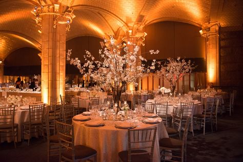 Cambria Wedding, Wedding Design Board, Cherry Blossom Decor, Intimate Reception, Uplighting Wedding, Lights Wedding Decor, New York City Wedding, Wedding Inside, Decor Flowers