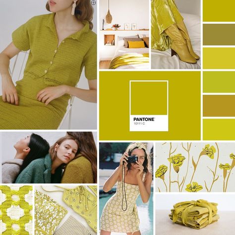 Palette: It's Not Easy Being Chartreuse | Sarah Michiko Chartreuse Pantone, Chartreuse Paint Color, Midcentury Color Palette, Chartreuse Color Palette, Peony Swimwear, Olive Clothing, Green Chartreuse, Chartreuse Color, Chartreuse Green