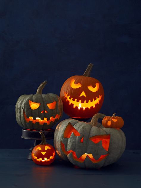 Different Colored Pumpkins - TownandCountrymag.com Mini Pumpkin Carving, Holiday Painting Ideas, Painting Ideas For Kids, Porch Parties, Homemade Trail Mix, Amazing Pumpkin Carving, Halloween Outside, Easy Pumpkin Carving, Autumn Chic