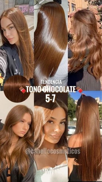 CabelloCosmeticos on Instagram: "TONO EN TENDENCIA CHOCOLATE COBRIZO 5-7 IGORA ROYAL❤️😍 ¿Lo usarías? ⭐️🍫 Estos son los mejores tintes con una compensación de color perfecta, duración del color prolongada con una excelente cobertura. Cuida el tono en casa con PROKPIL 🤩 🤎 ✨Tratamiento Prokpil para tonos Chocolate: Realza el color y matiza tonos indeseados sin químicos. Ideal usar una vez por semana. Utiliza su Agua Oxigenada Igora Royal para mejores resultados 👏🏼 Comenta IGORA y te enviamos toda la información ⬇️ ⭐️ Con gusto le atenderemos y te asesoramos de forma personalizada 💝 Contacto Whatsapp 📲 04123829416 o por Mensajería Directa 📩 📍Encuéntranos en el Stand Físico del Sambil Caracas (Plaza Central, Nivel Autopista) Stand Blanco con Morado💜" Color Formulas, Hair Color Chocolate, Highlights For Brunettes, Brown Hair Looks, Summer Hair Highlights, Brown Hair Inspo, Hair Color Formulas, Brunette Hair With Highlights, Ginger Hair Color