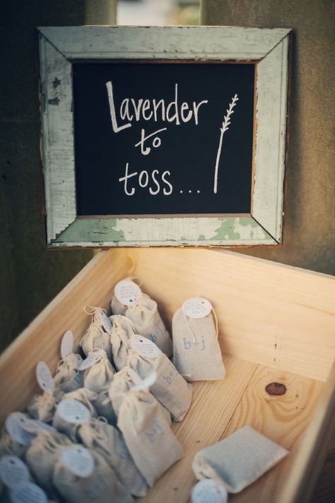 Wedding Ideas For Fall, Lavender Wedding Ideas, Different Wedding Ideas, Funny Vine, Wedding Themes Fall, Cute Wedding Ideas, Lavender Wedding, Online Wedding, Simple Weddings