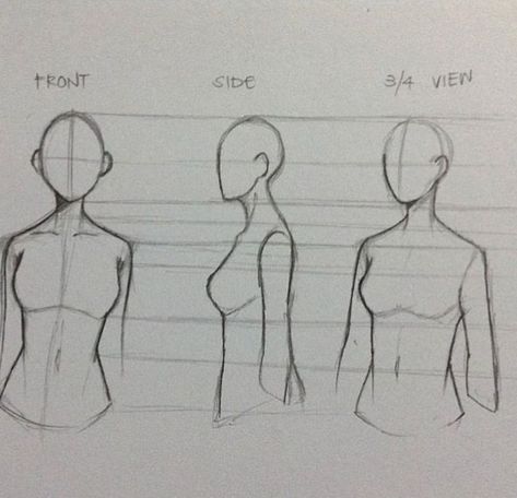 Front, Side, and 3/4 View of Female! Male Figure Drawing, Human Figure Sketches, Human Figure Drawing, Figure Sketching, Anatomy Drawing, Arte Sketchbook, Arte Inspo, Figure Drawing Reference, Realistic Drawings