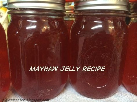 Mayhaw Jelly Recipe, Mayhaw Jelly, Stovetop Dinners, Things To Can, Muscadine Jelly, Freezing Recipes, Jelly Maker, Making Jelly, Pepper Jelly Recipes