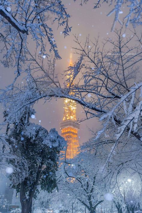 Tokyo tower #Tokyo Tokyo Winter, Wallpapers Christmas, Tokyo Photography, Winter In Japan, Japan Winter, Snow Night, Flower Background Iphone, Japan Kimono, Tokyo Night