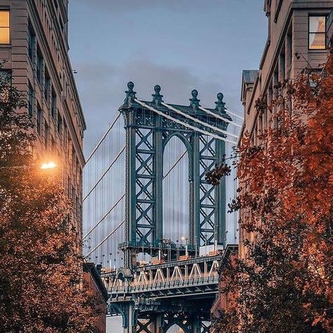 USA 🇺🇸 Travel | Hotels | Food | Tips on Instagram: "Exploring Brooklyn during fall through the eyes of @dylanwaalker! 🍂🍁 💡Fall is generally considered a great time to visit New York City. The weather during the fall season, which typically spans from September to November, is usually pleasant and comfortable. One of the highlights of visiting NYC in the fall is observing the beautiful autumn foliage. Central Park and other green spaces in the city transform into vibrant displays of red, orange, and yellow leaves, creating picturesque scenes. It's a fantastic time to take leisurely walks, go for a bike ride, or have a picnic in the park. Spread the travel inspiration by sharing this post with your fellow explorers!😍 🎥 : @dylanwaalker 📍: Brooklyn, NYC" Nyc In The Fall, Nyc Collage, New York In November, New York November, Fall Feeling, Nyc Fall, Leaves Falling, Visit New York City, Autumn In New York