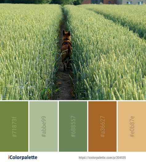 Color Palette ideas from 3434 Grass Images | iColorpalette Earth Colour Palette Nature, Farming Color Palette, Color Palette From Nature, Farm Colour Palette, Agriculture Color Palette, Grass Palette, Farm Color Palette, Grass Color Palette, Autumn Pantone