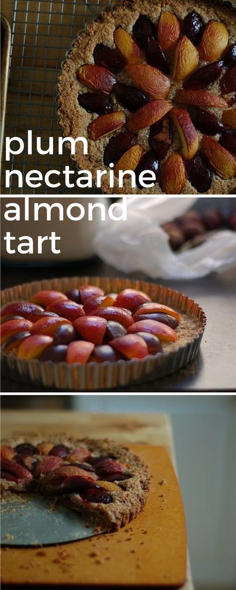 Plum Nectarine Almond Tart. A recipe for an easy almond tart studded with plums and nectarines. A lovely dessert for late summer or early fall. Plum Torte, Almond Tart, Plum Recipes, Rhubarb Crisp, Apple Bars, Classic Apple Pie, Butter Tarts, Amazing Desserts, Fruit Tart