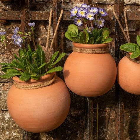 Colourful Plants, Hanging Gardens Of Babylon, Trailing Petunias, Winter Pansies, Plant Troughs, Clay Hanging, Strawberry Pots, Gardens Of Babylon, Small Pots