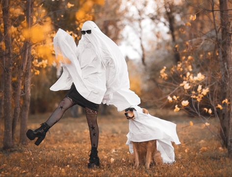 Dog And Human Ghost Photoshoot, Pet Fall Photoshoot, Ghost Sheet Photoshoot With Dog, Halloween Pictures With Dogs, October Dog Photoshoot, Dog Ghost Costume Photoshoot, Ghost Trend With Dog, Dog Halloween Pictures, Dog Sheet Ghost Photoshoot