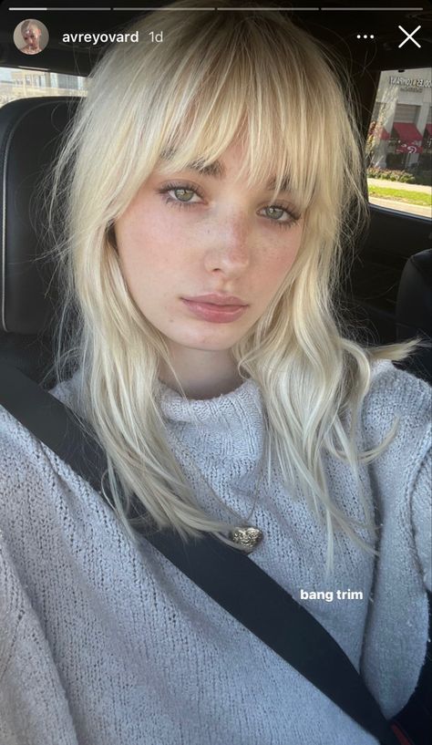 Avrey Ovard, Blonde Eyebrows, Dark Eyebrows, Blonde Bangs, Bleach Blonde Hair, Blonde Hair With Bangs, 일본 패션, Platinum Hair, Queen Hair