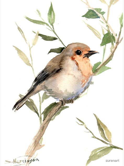 Robin Art, Bird Watercolor Paintings, Diy Watercolor Painting, Robin Bird, Watercolor Paintings Easy, Bird Painting, Watercolor Painting Techniques, 수채화 그림, Watercolor Paintings Tutorials