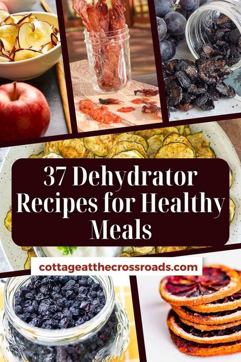 Dehydrator Jerky Recipes, Uses For Dehydrator, Best Things To Dehydrate, Dehydrator Meal Recipes, What To Dehydrate, Cosori Dehydrator Recipes, Dehydrator Recipes Potato, How To Use Dehydrated Food, What Can You Make In A Dehydrator