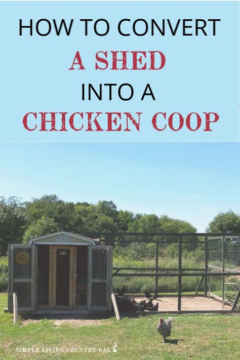 How to turn a shed into a chicken coop. Your DIY guide on how to make use of what you have on hand. Save money and convert a shed into a full chicken coop. A step by step guide. #raisingchickens #chickens #backyardchickens #slcg Homesteading Chickens, Farming Animals, Chicken Yard, Homestead Animals, Homesteading Animals, Homesteading Tips, Farming Ideas, Small Chicken Coops, Easy Chicken Coop