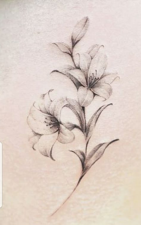 Lillie Flower Tattoo, Lilly Tattoo For Women, Cataleya Flower Tattoo, Amaryllis Tattoo, Lilly Tattoo Design, Mandela Tattoo, Lillies Tattoo, Lily Tattoo Design, Lily Flower Tattoos