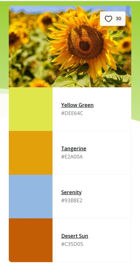 A colour palette sourced from canva.com with four colours: Yellow Green (#DEE64C), Tangerine (#E2A00A), Serenity (#93B8E2), Desert Sun (#C35D05) Haldi Ceremony Colour Palette, Desert Sun, Haldi Ceremony, Desert Island, Zero Waste, Colour Palette, Color Palette, Green, Color