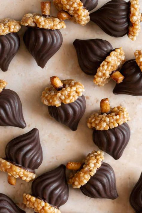 These easy and adorable Chocolate Acorns are the perfect DIY Fall chocolate treat. Dairy-free dark chocolate is molded into the chocolate candy kiss shape, topped with a mini no-bake, crispy quinoa cookie, and then finished with gluten-free pretzel pieces as the acorn stems! Chocolate Acorns, Chocolate Appetizers, Sandwich Appetizers, Quinoa Cookies, Acorn Cookies, Recipe Inspirations, Crispy Quinoa, Gluten Free Pretzels, Lunch Salad