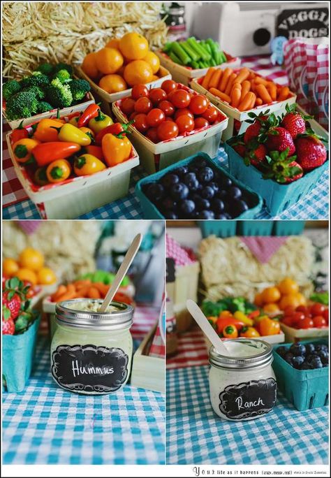 Farm To Table Birthday Party, Farm Fresh Birthday Party, Farm Party Food Table, Farm Birthday Treats, Farm Fresh Baby Shower Theme, Farm Birthday Party Food Ideas, County Fair Birthday Party, Fair Birthday Party, County Fair Theme