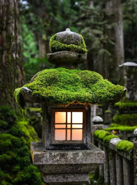 Japanese Garden Lanterns, Japanese Stone Lanterns, Wakayama Japan, Wooden Lantern, Japanese Garden Landscape, Garden Lantern, Japanese Shrine, Japanese Lantern, Stone Lantern